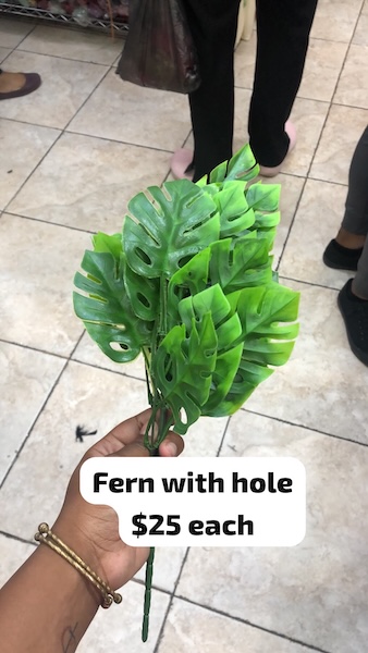 Fern w Hole